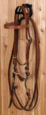 Colt/Arabian Brow Band Bridle